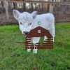 micro mini highland cows for sale near me