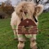 where to buy mini highland cows - highland cow calves for sale